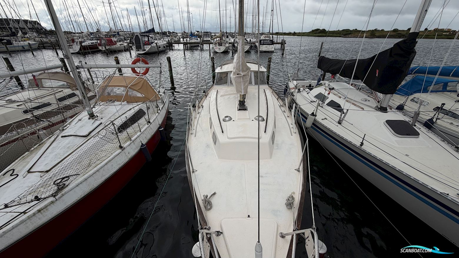 Hallberg-Rassy 35 Rasmus