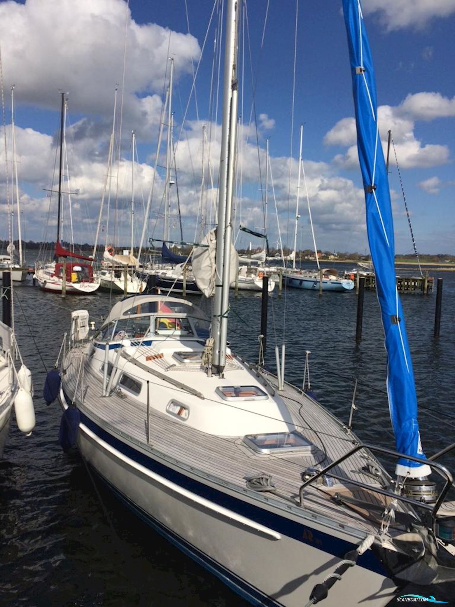 Hallberg-rassy HR 31 Scandinavia