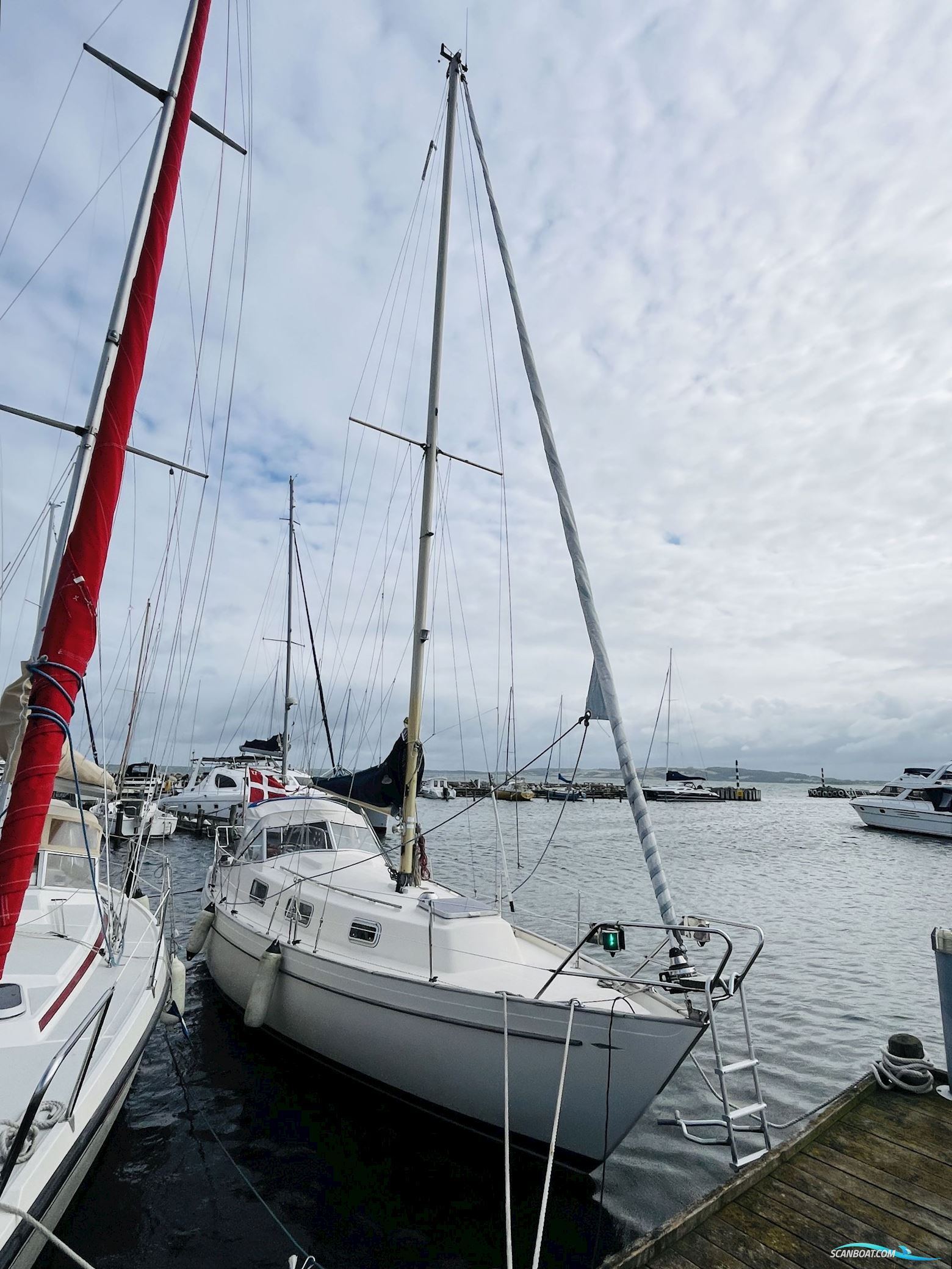 Hallberg-Rassy Monsun 31