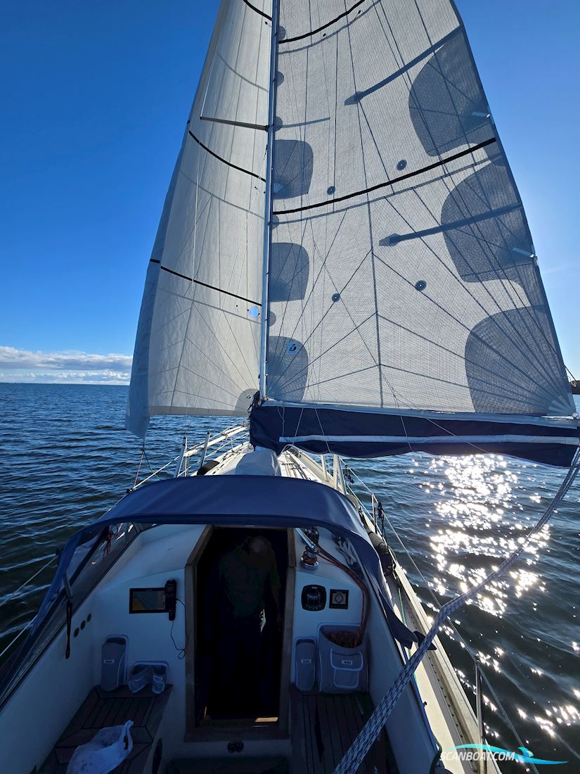 Hallberg-Rassy Monsun 31