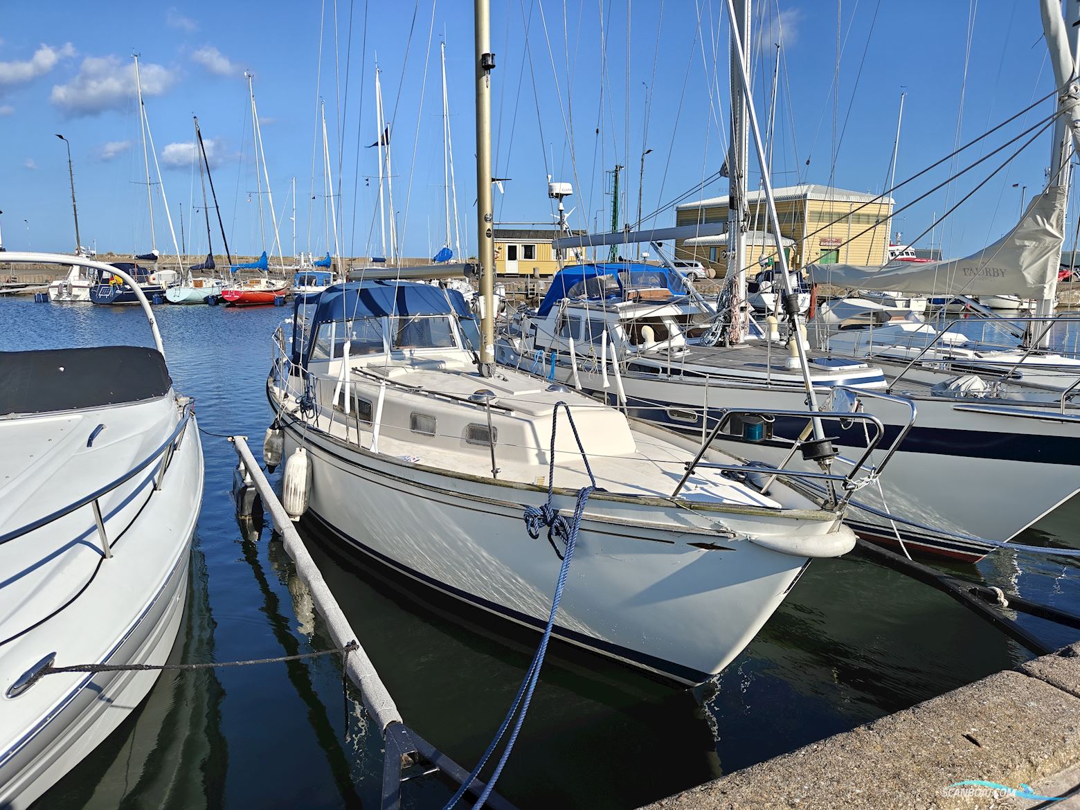 Hallberg Rassy Rasmus 35