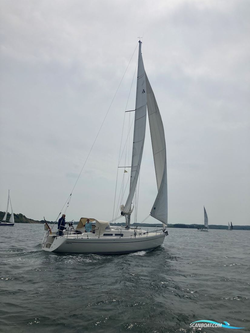 Hanse 371 Sailingboat 1999, Germany