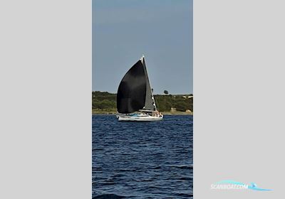 Hanse Yachts AG Dehler 38 SQ Sailingboat 2021, with Yanmar engine, Germany
