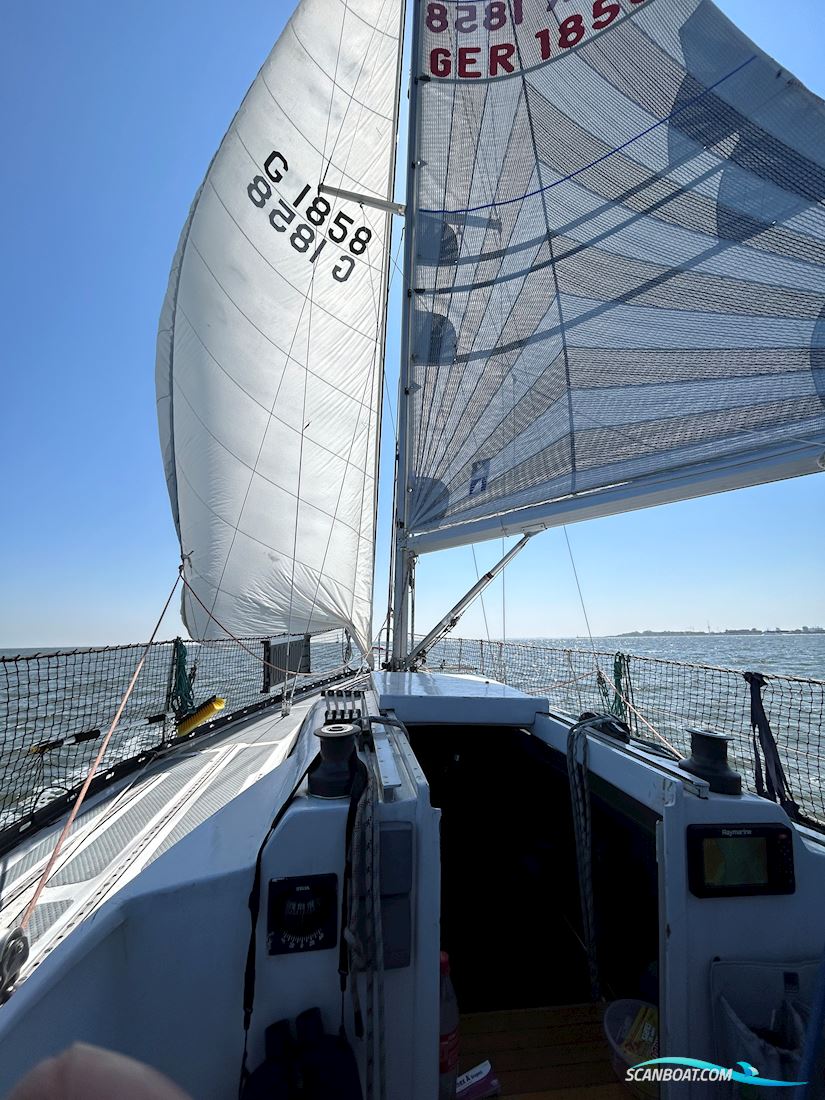Helmsman 31