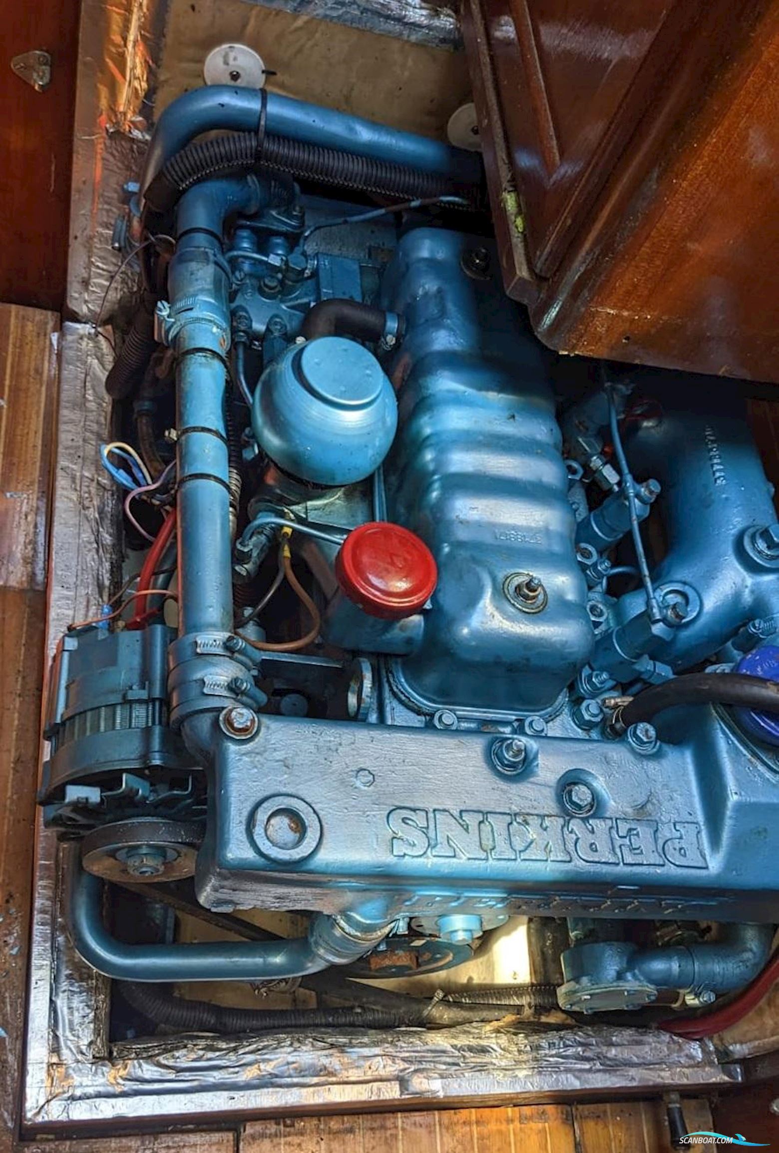 Helmsman Bosun Queen 55