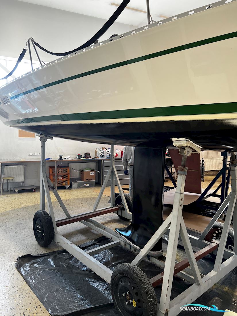 Helmsman751