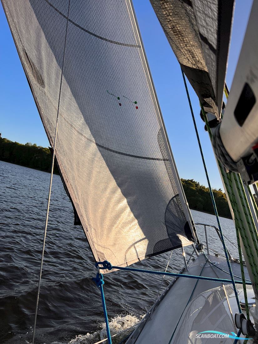 Helmsman751