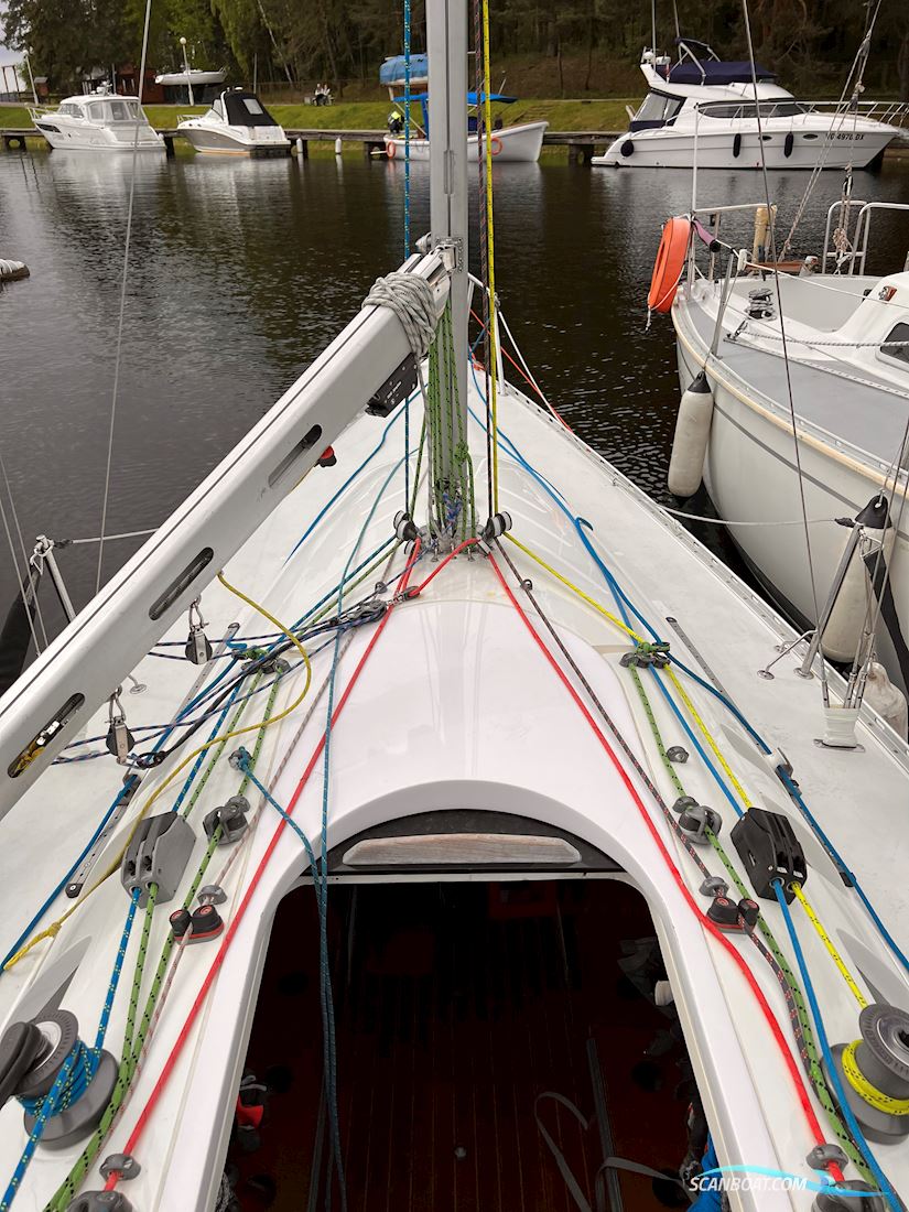Helmsman751