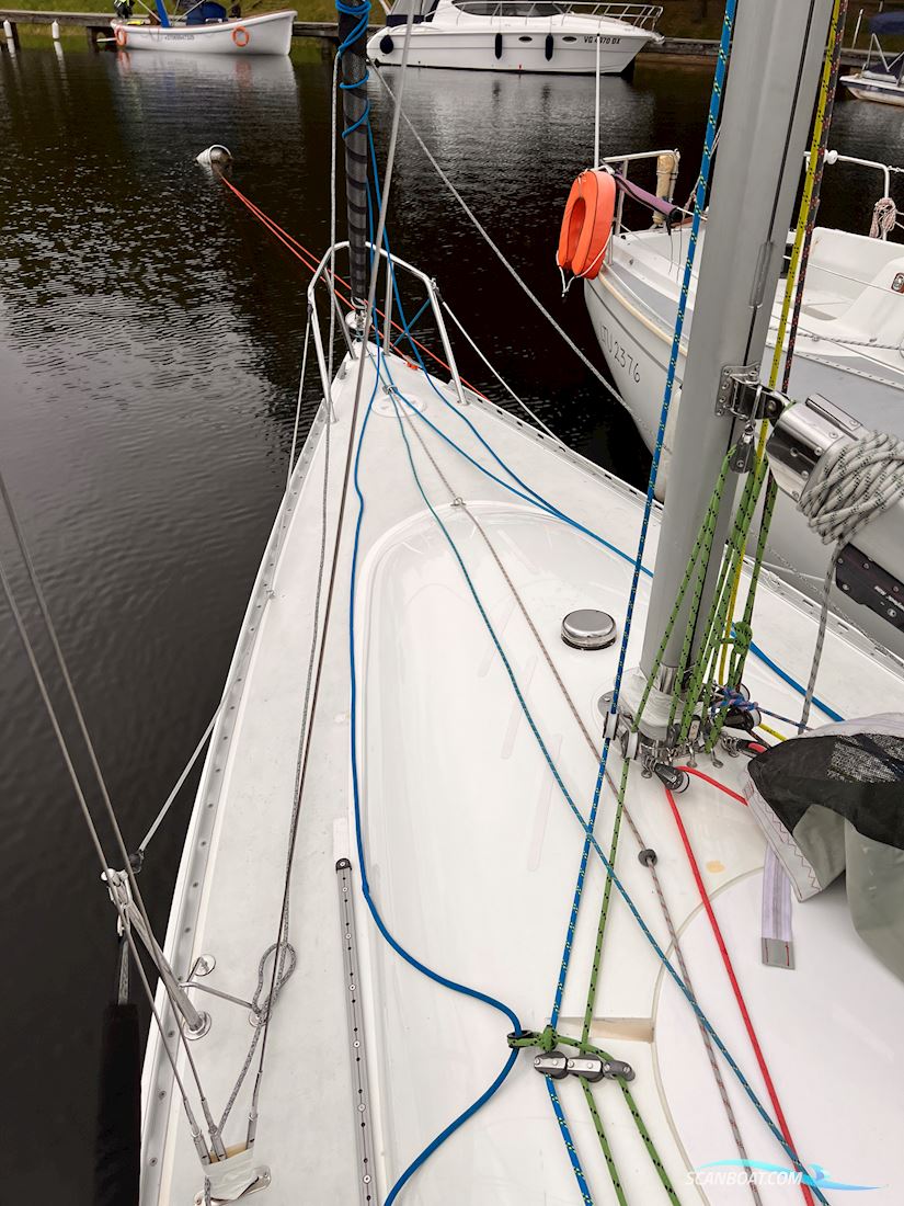 Helmsman751
