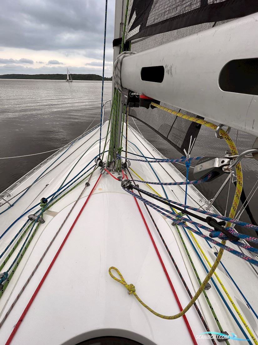 Helmsman751