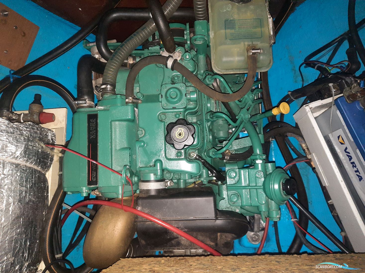 Helmsmann 31