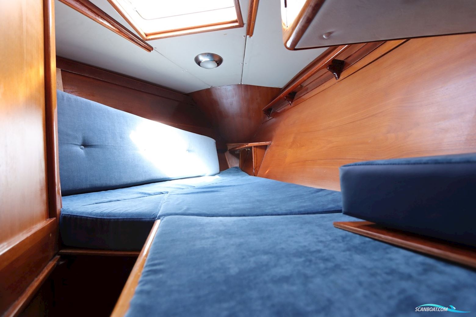 Holman & Pye Red Admiral