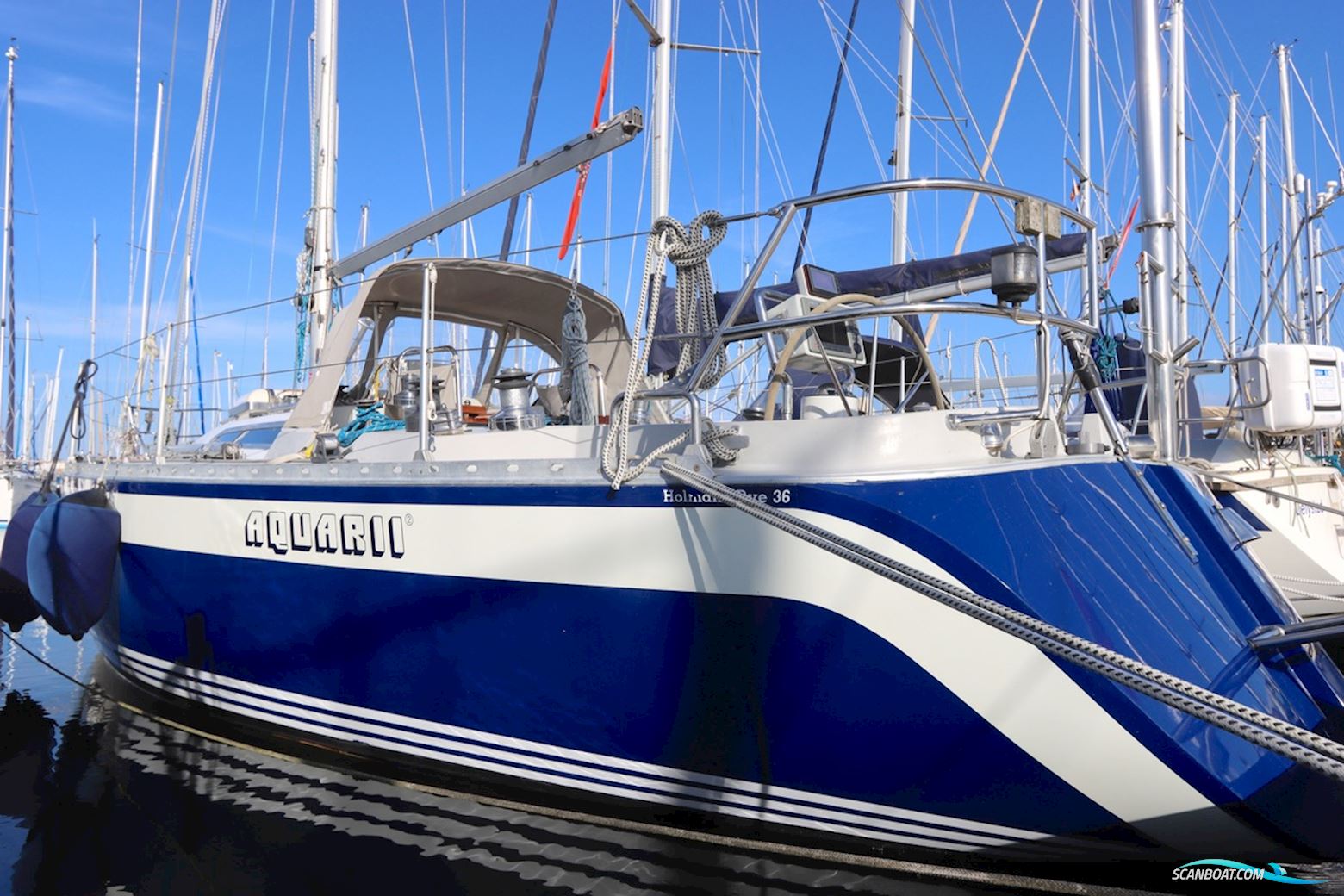 Holman & Pye Red Admiral