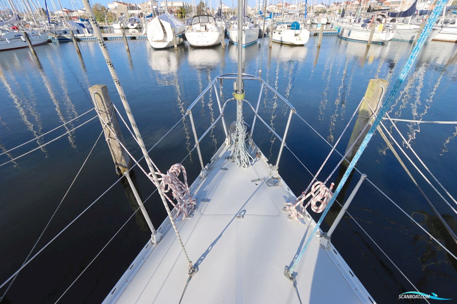 Holman & Pye Red Admiral