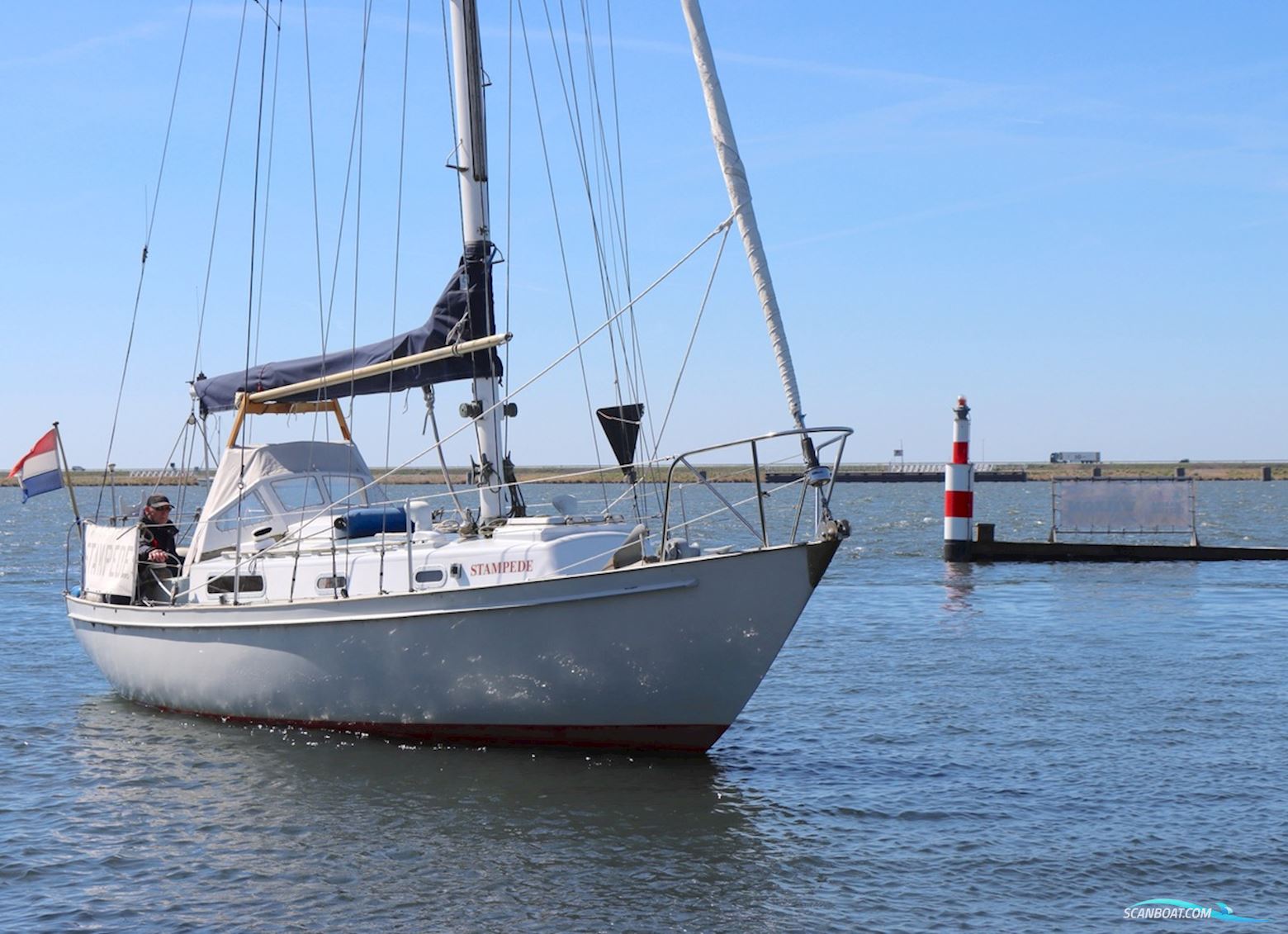 Holman and Pye  Rustler 31