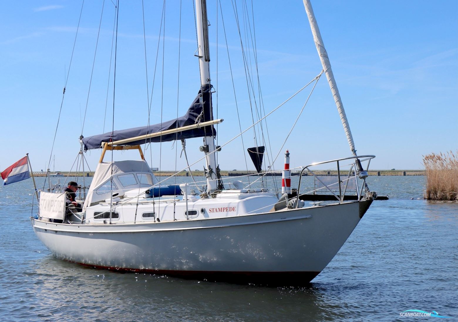 Holman and Pye  Rustler 31