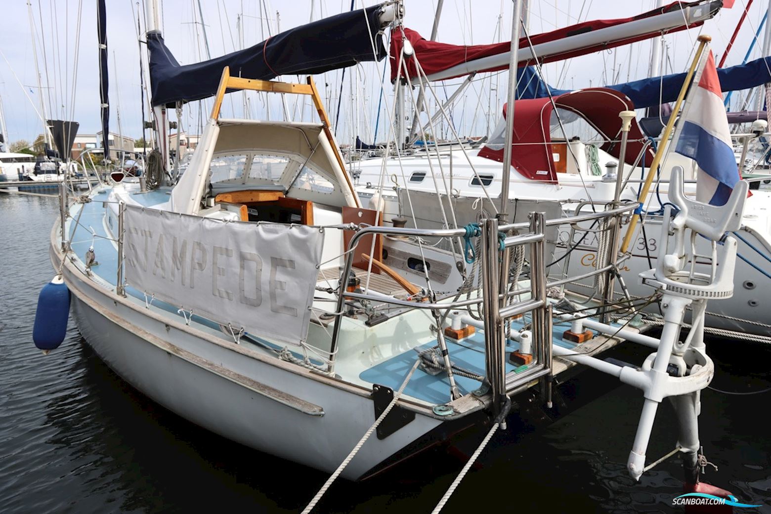 Holman and Pye  Rustler 31