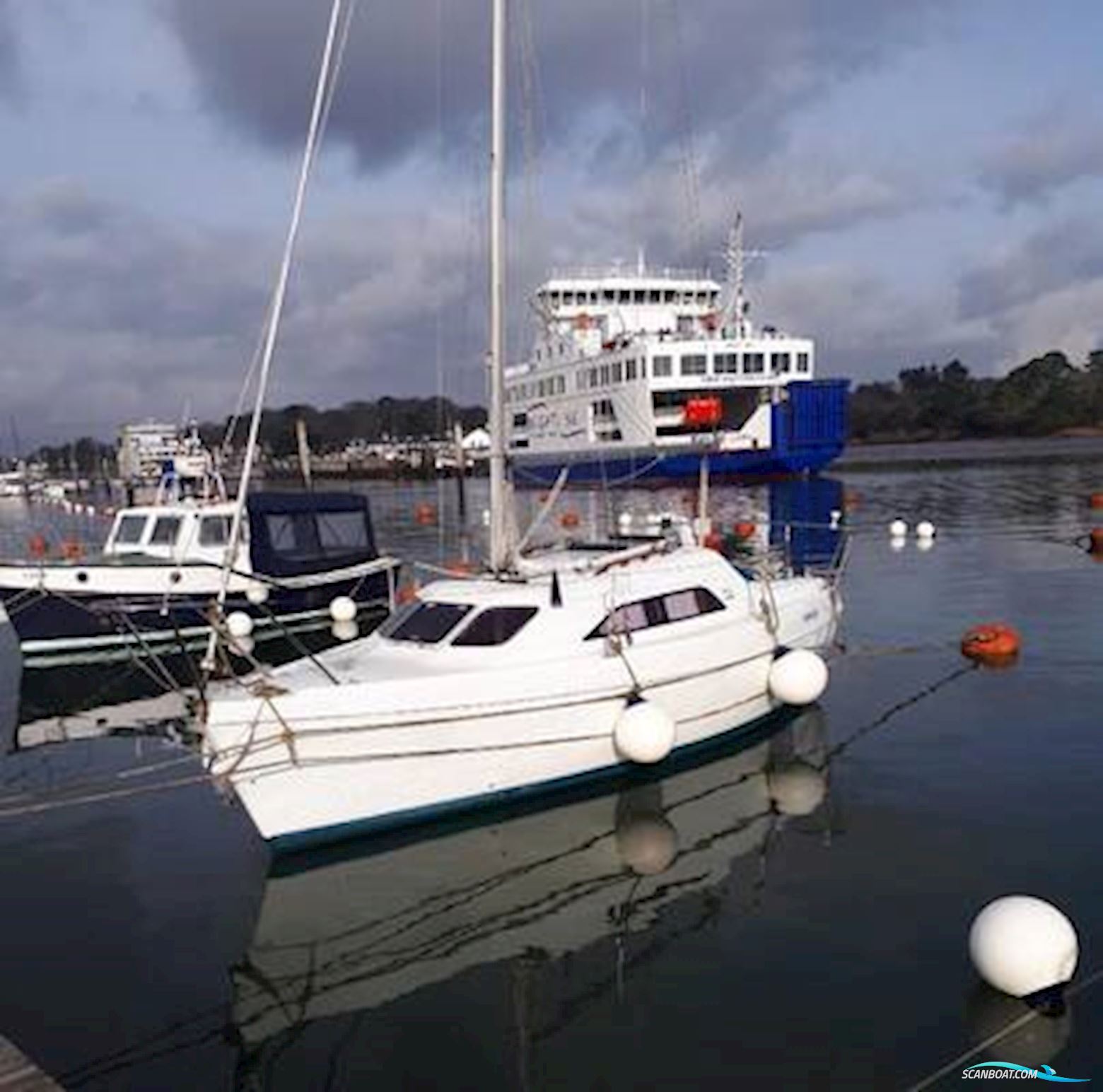 Hunter 245