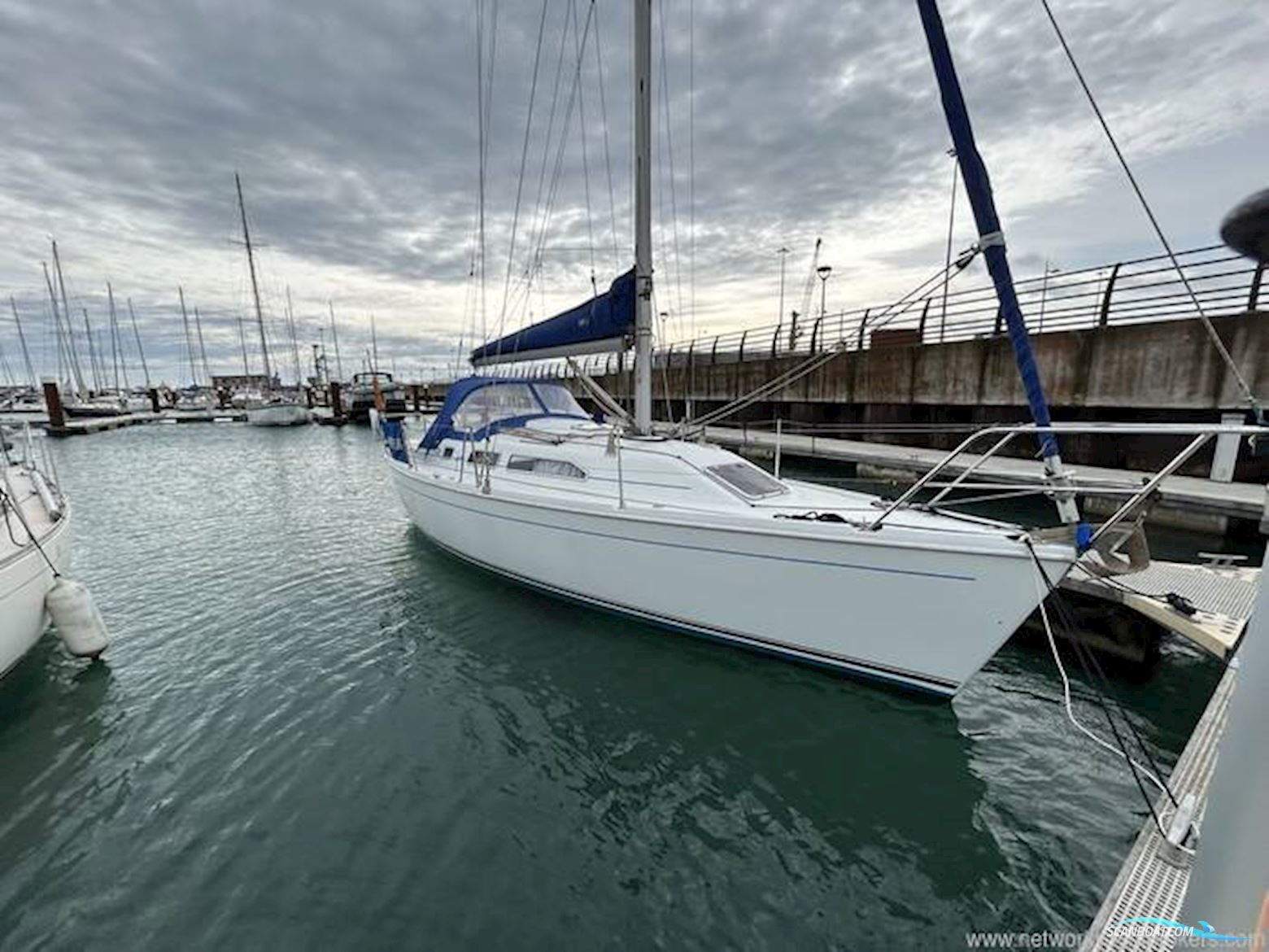 Hunter Channel 31