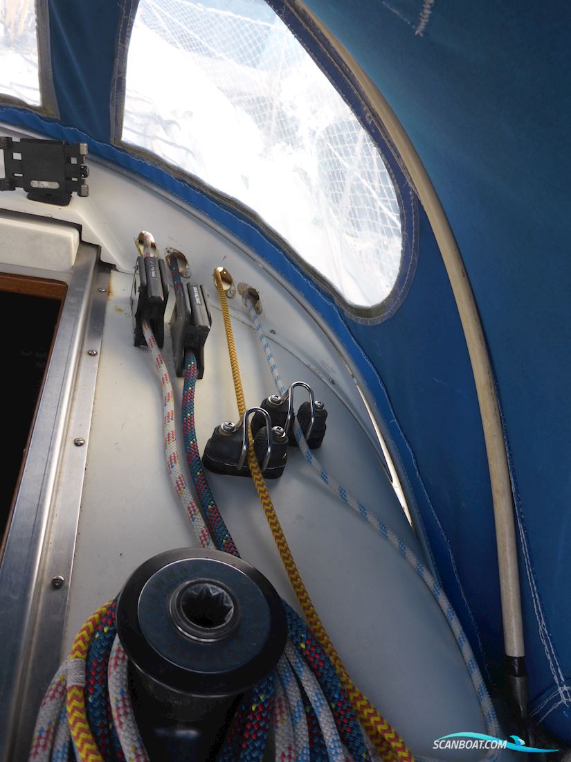 IF-Boot, Marieholm 24, Internationales Folkeboot