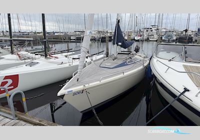 International 806 Sailingboat 1982, Denmark