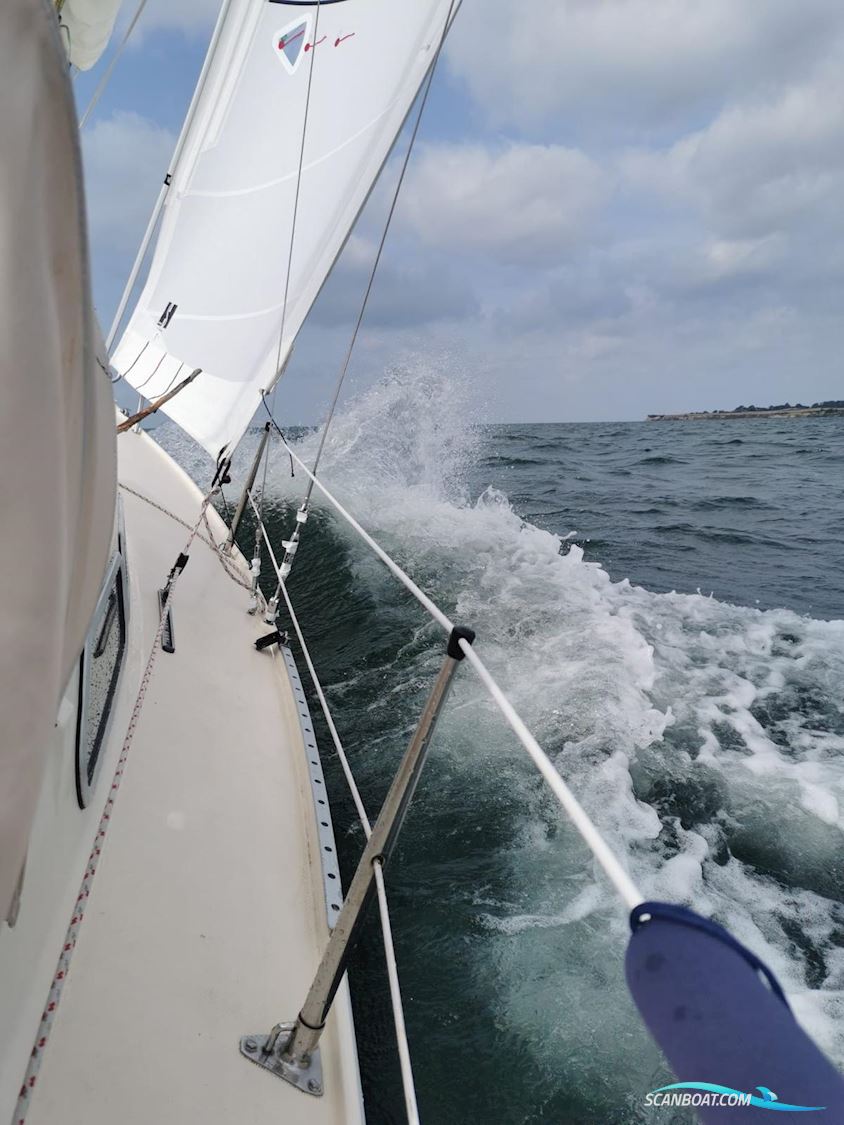 Internationales Folkeboot