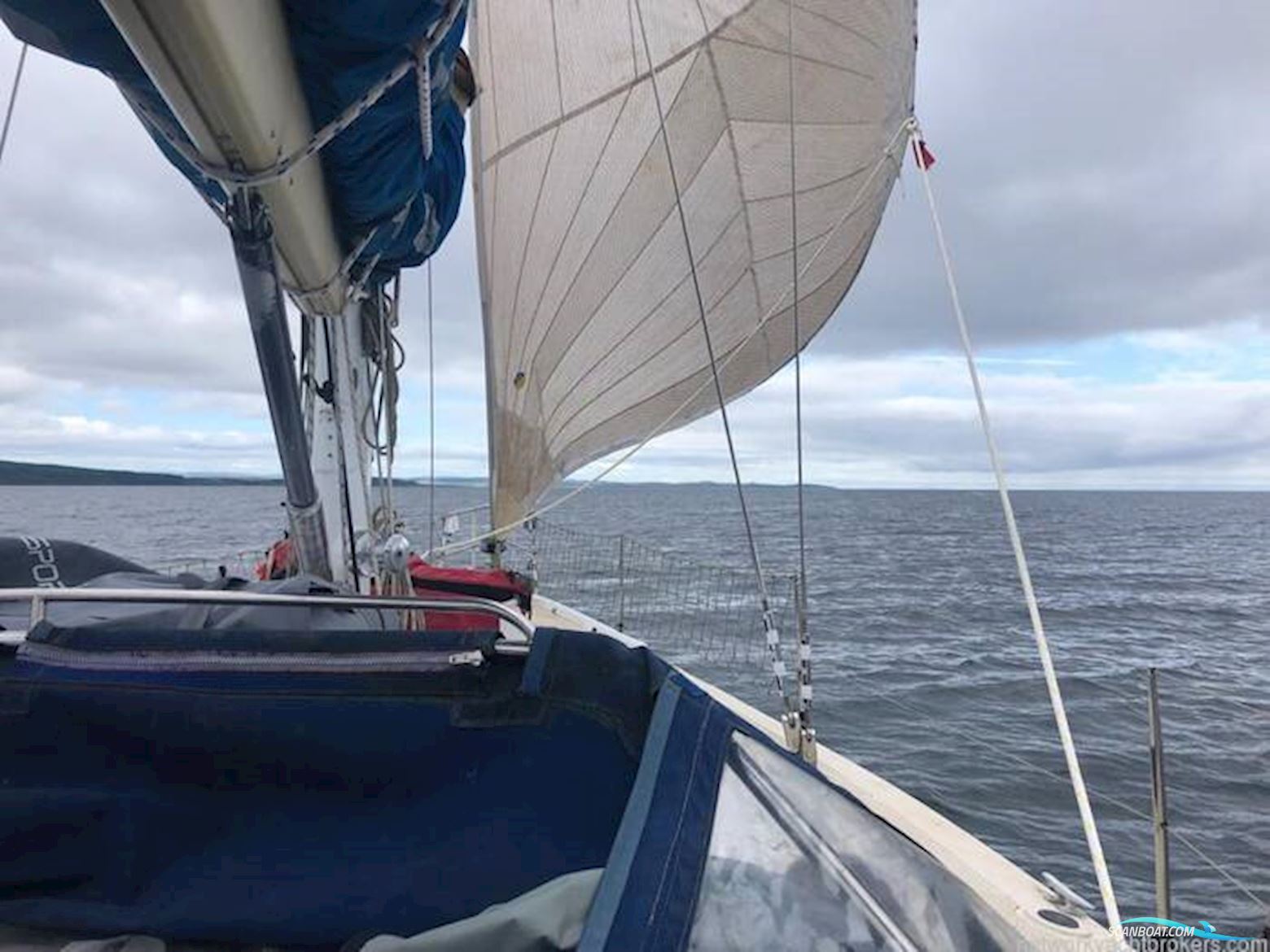 Ior Ron Holland Design