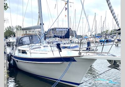Irwin 49 Blue Water Cruiser Sailingboat 1991, with Yanmar engine, The Netherlands