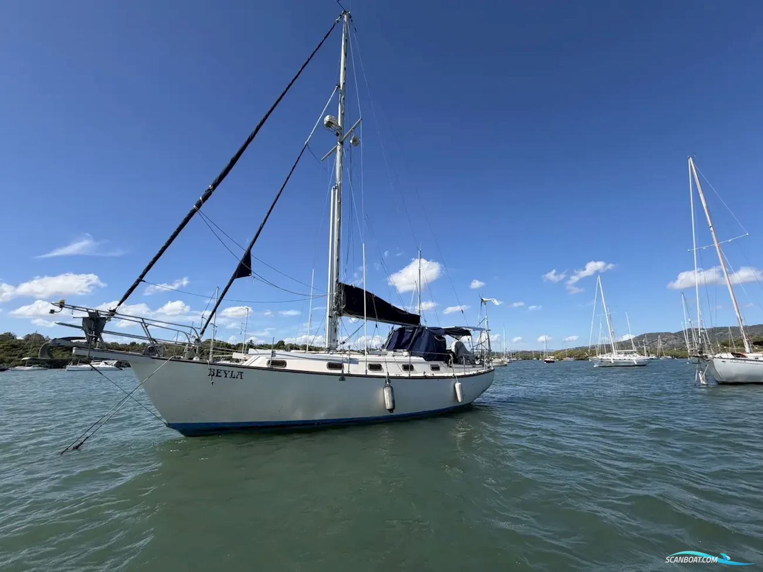 Island Packet 35