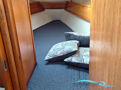 Jeanneau Sunshine Régate 38