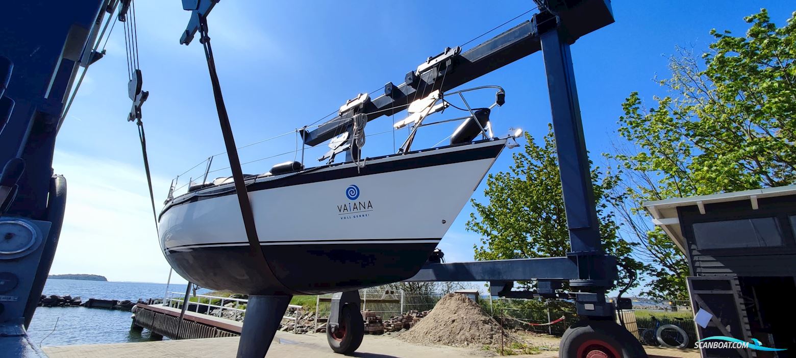 Kalik/Lewin Kalik 30