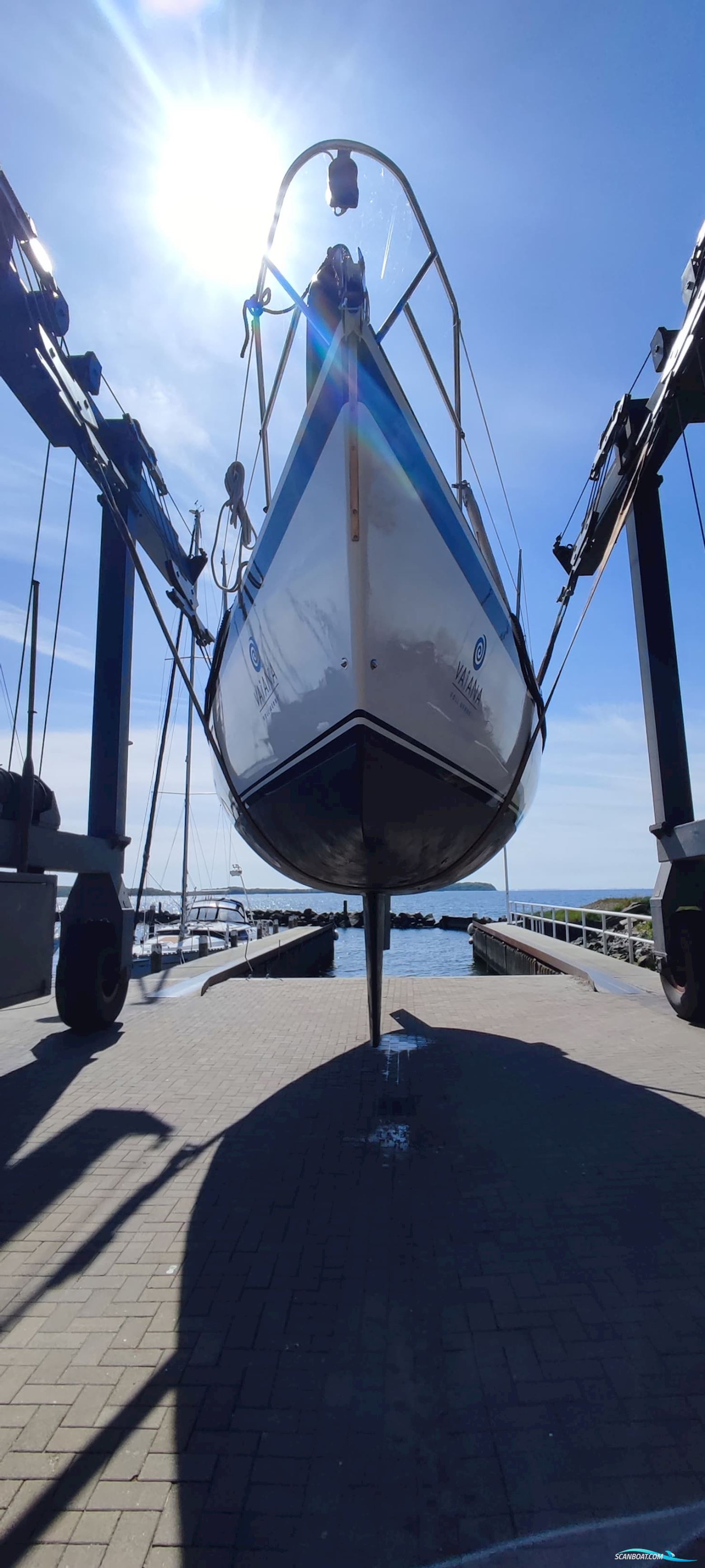 Kalik/Lewin Kalik 30