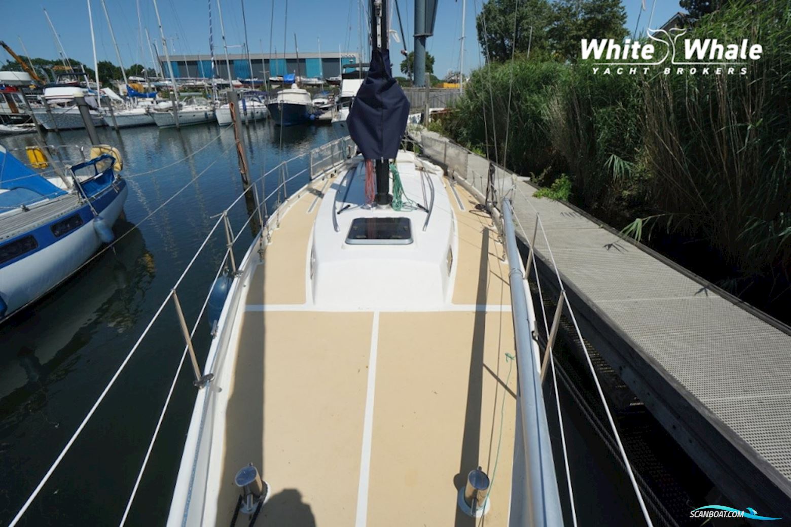 Koopmans 33