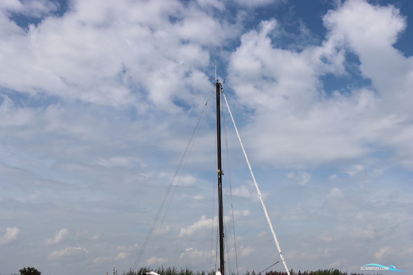Koopmans 36