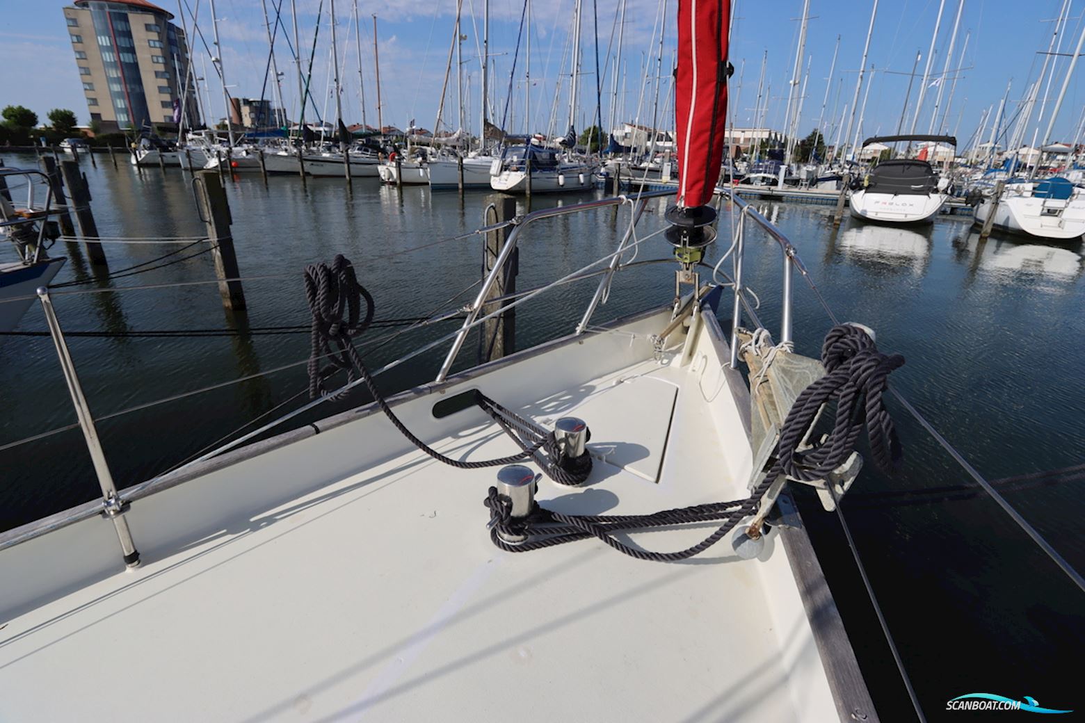 Koopmans 36