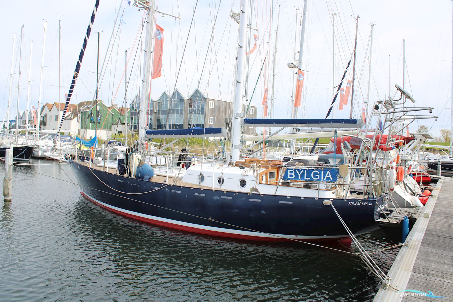 Koopmans 40