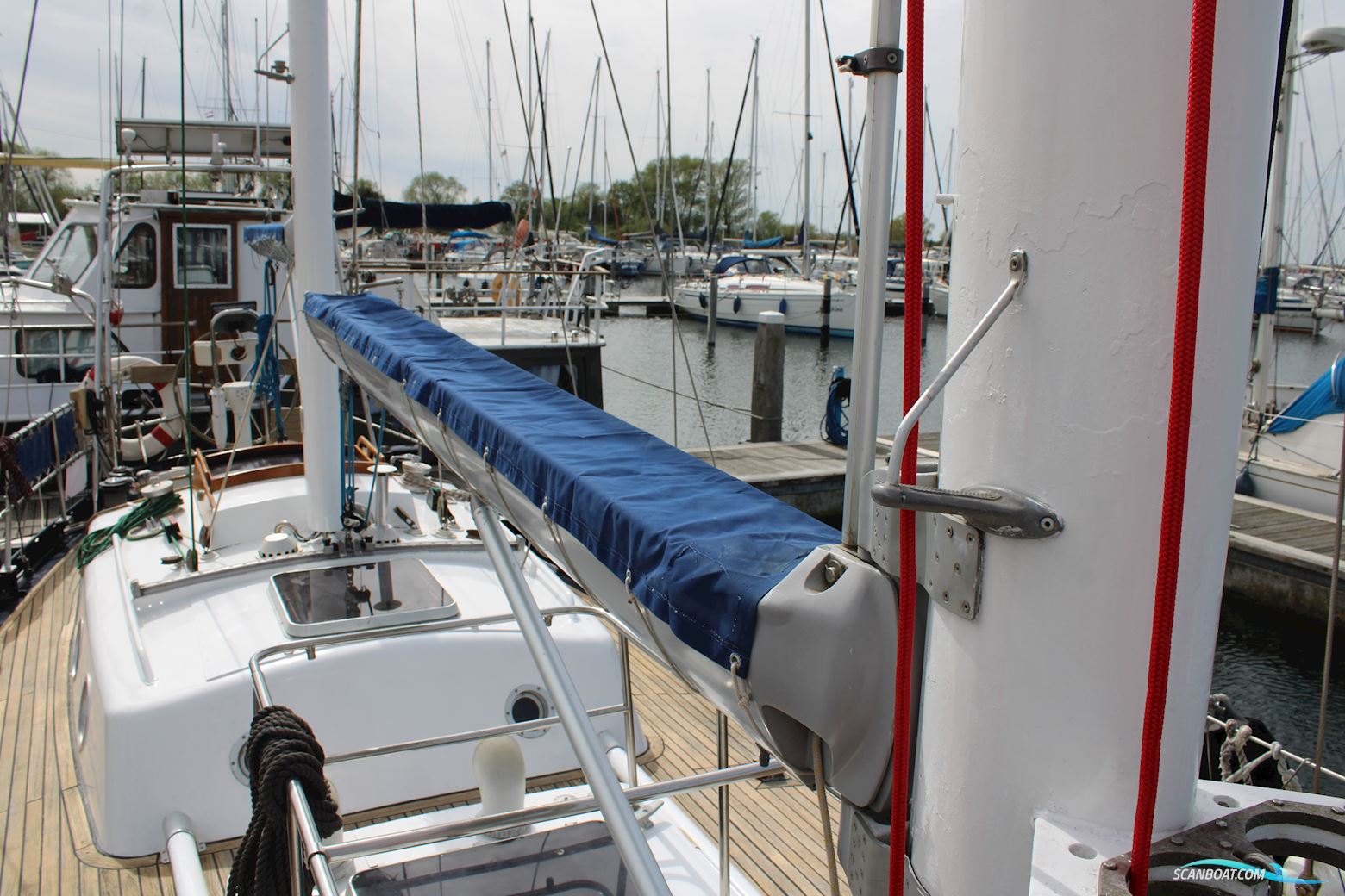 Koopmans 40
