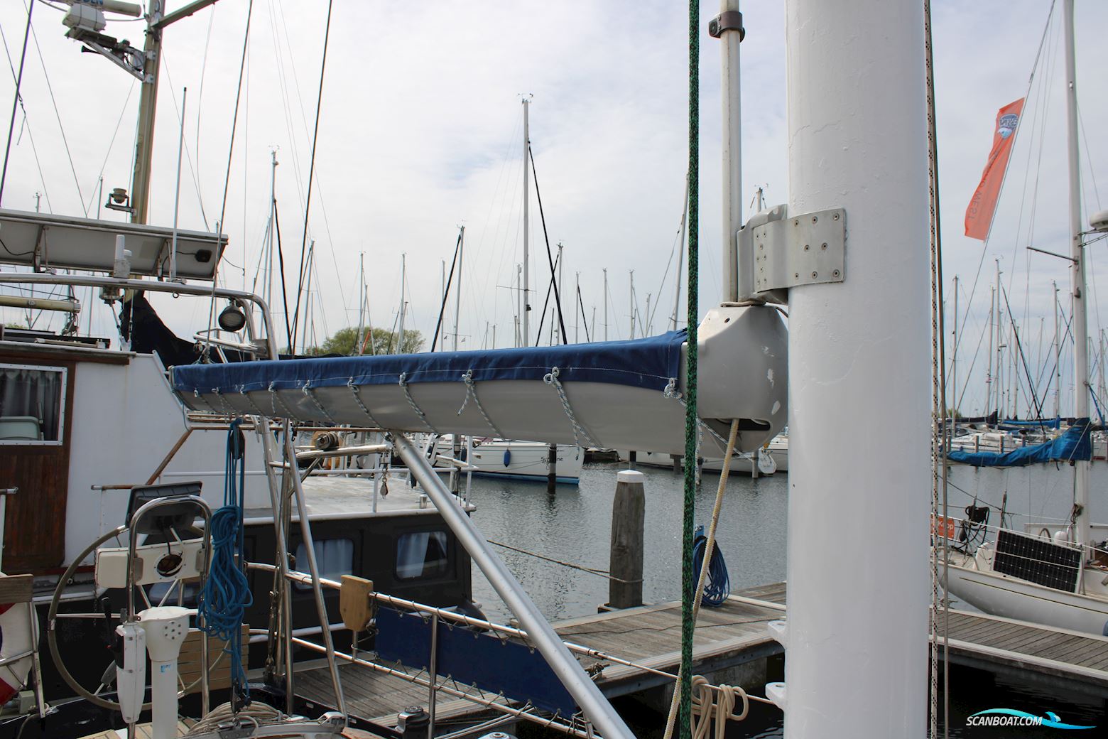 Koopmans 40