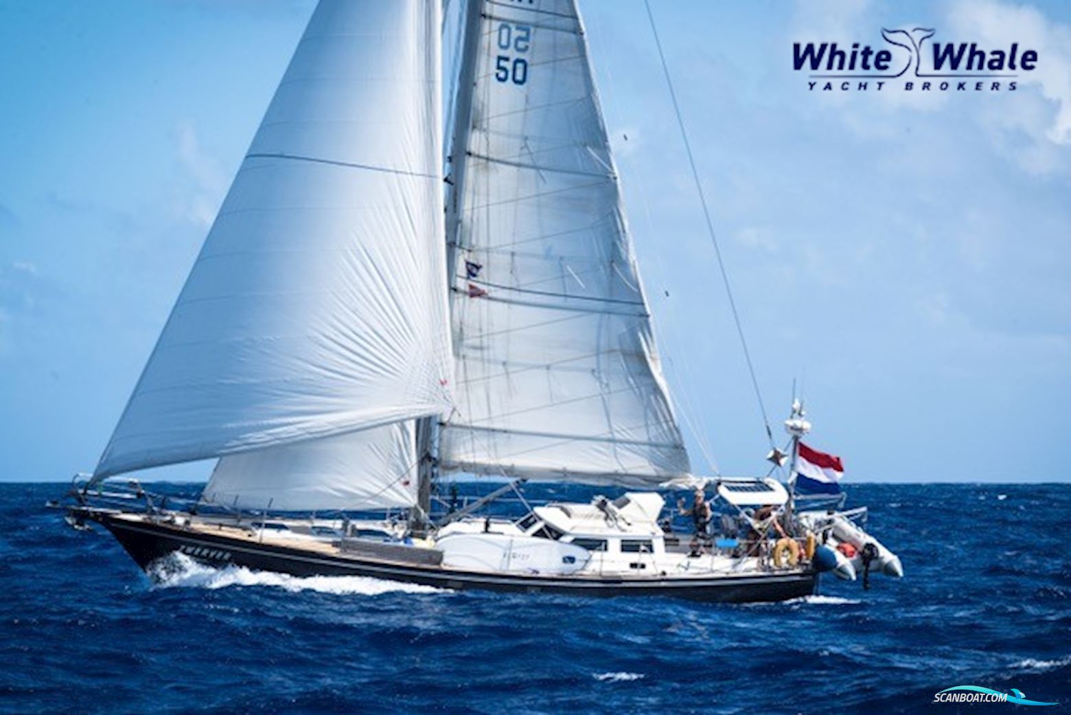 Koopmans 48