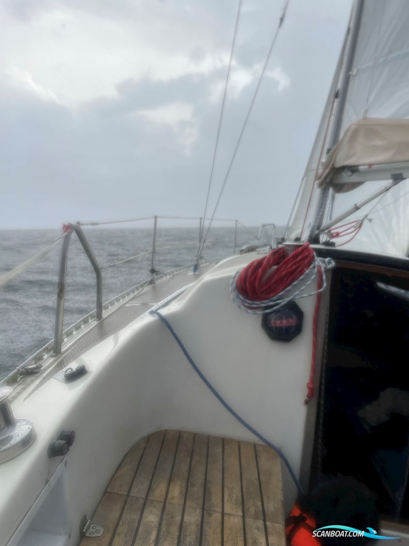 Larsen 28