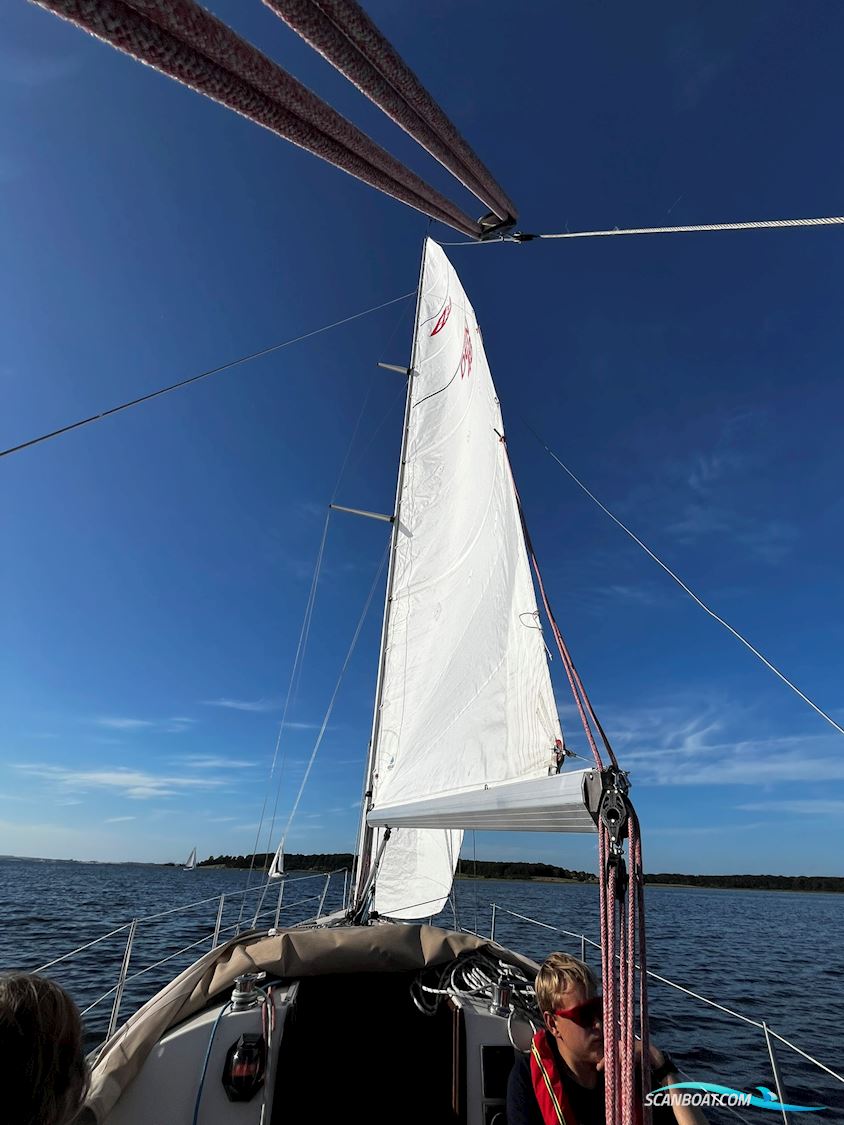 Larsen 34