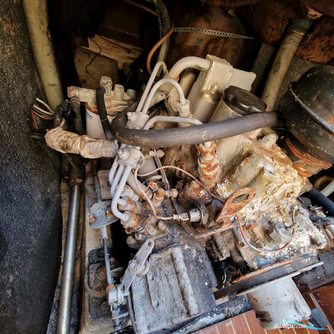 Larsen 34