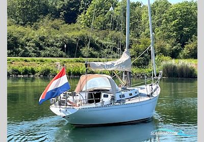 Le Comte Alc 40 S&S Sailingboat 1974, The Netherlands