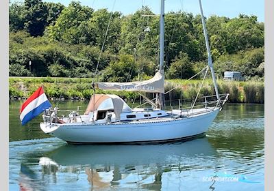 Le Comte Alc 40 S&S Sailingboat 1974, The Netherlands