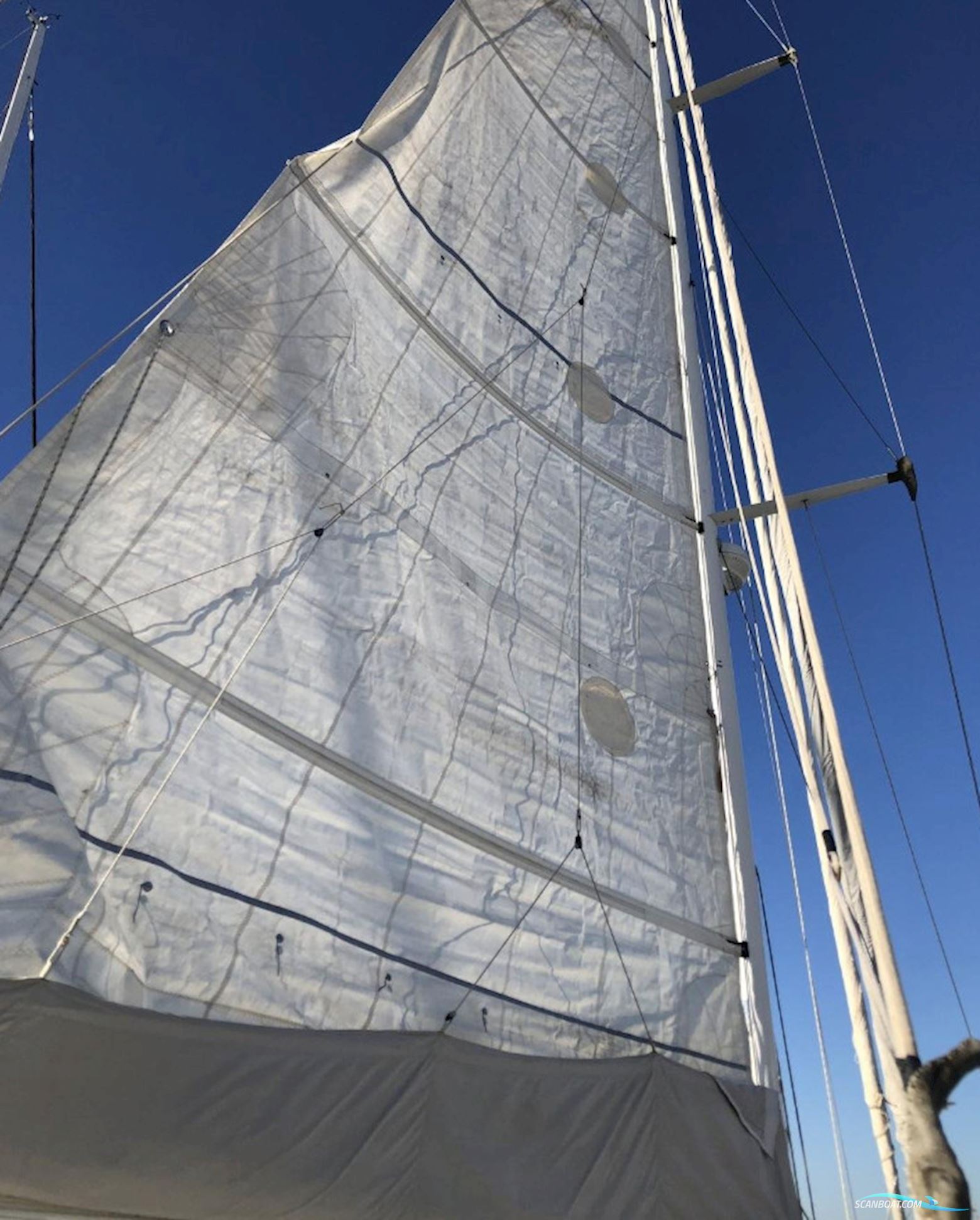 LEGUEN-HEMIDY LEVRIER DES MERS 16