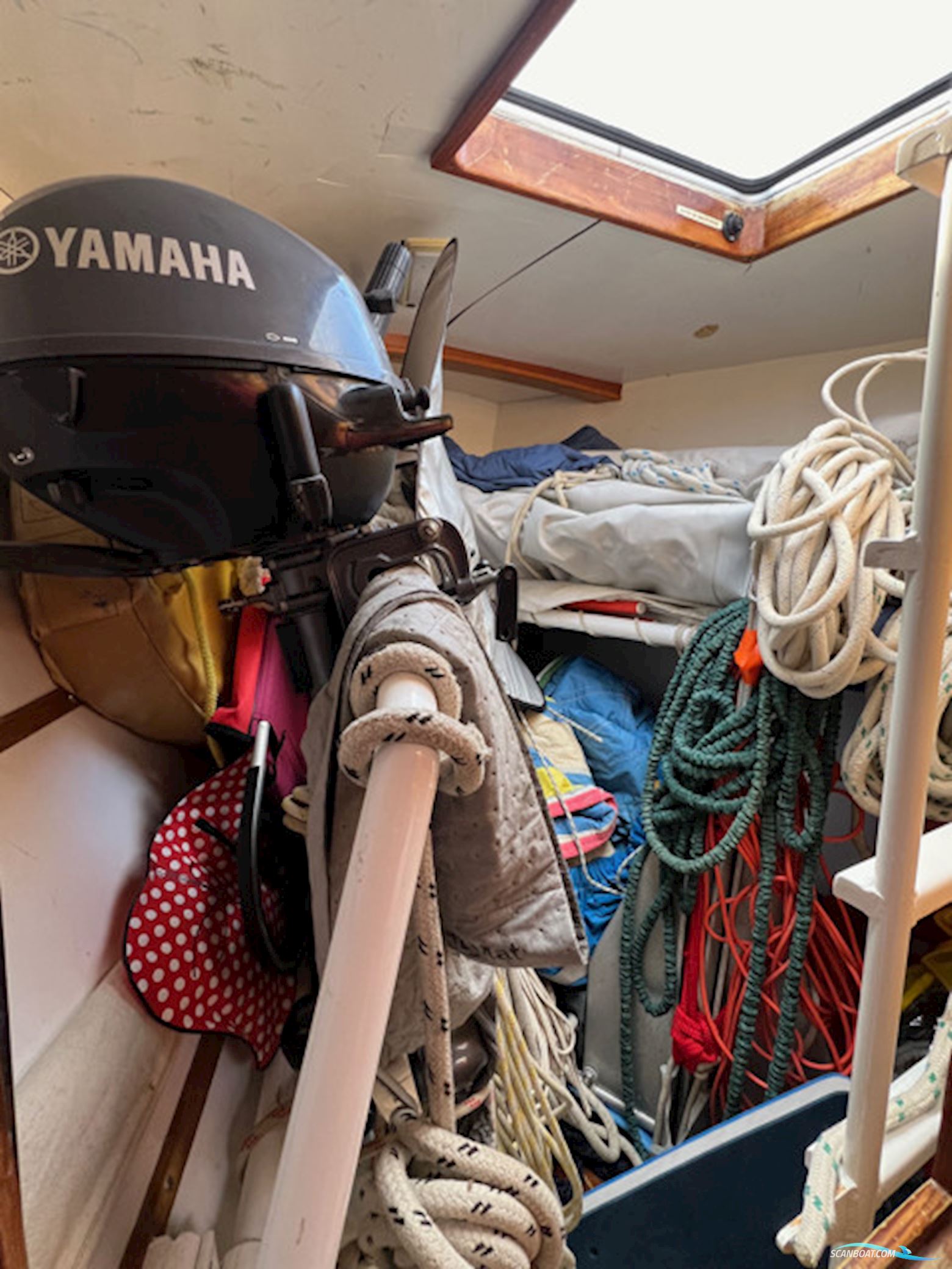 LEGUEN-HEMIDY LEVRIER DES MERS 16