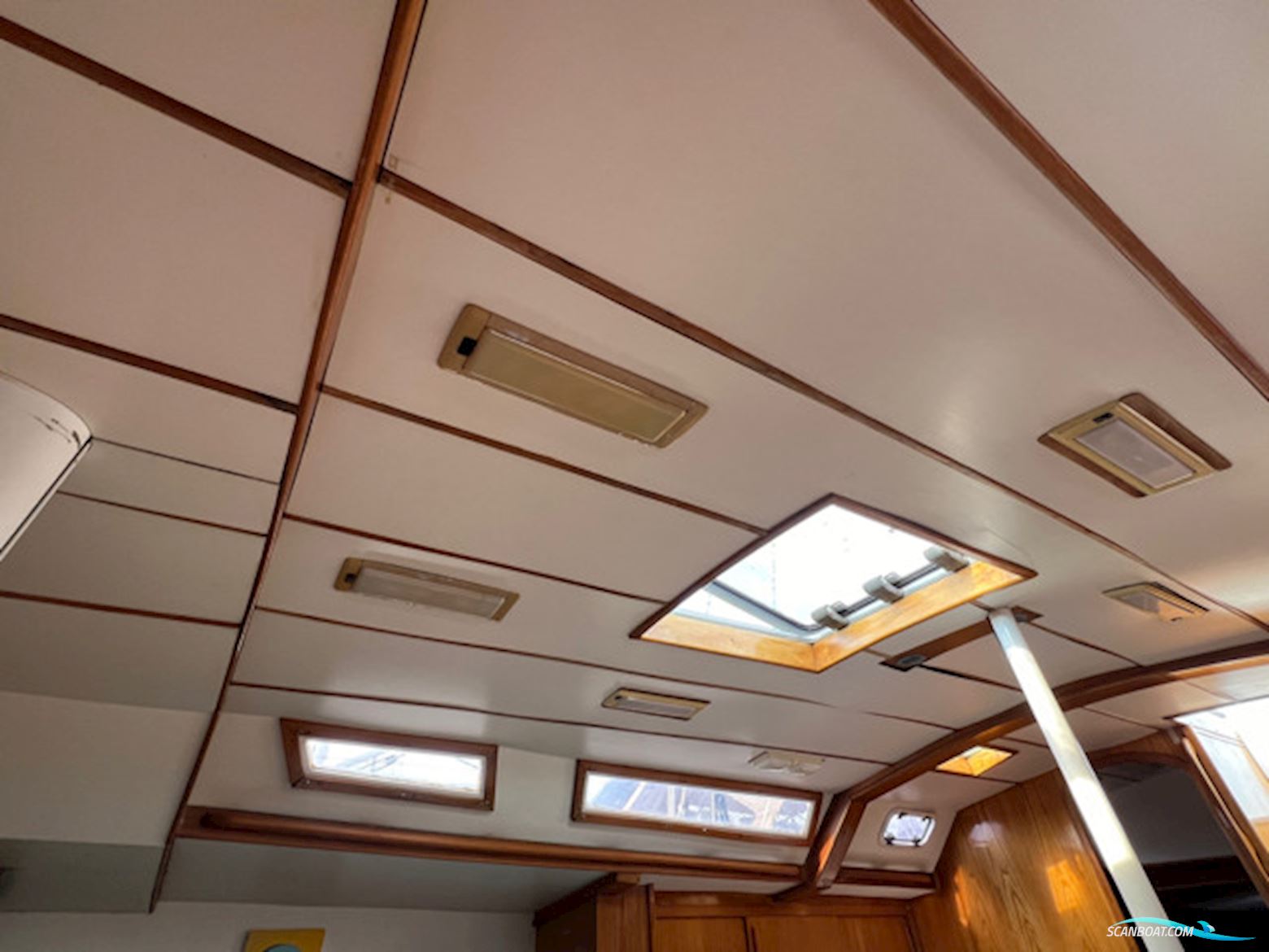 Leguen-Hemidy Levrier Des Mers 16