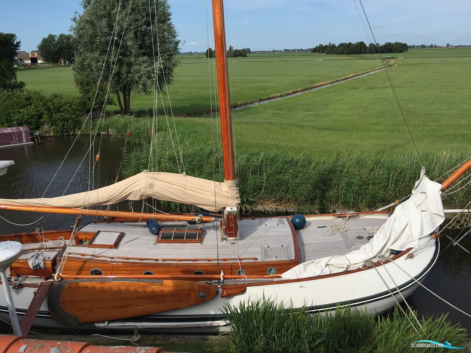 Lemsteraak Argonaut - Blom Roefaak