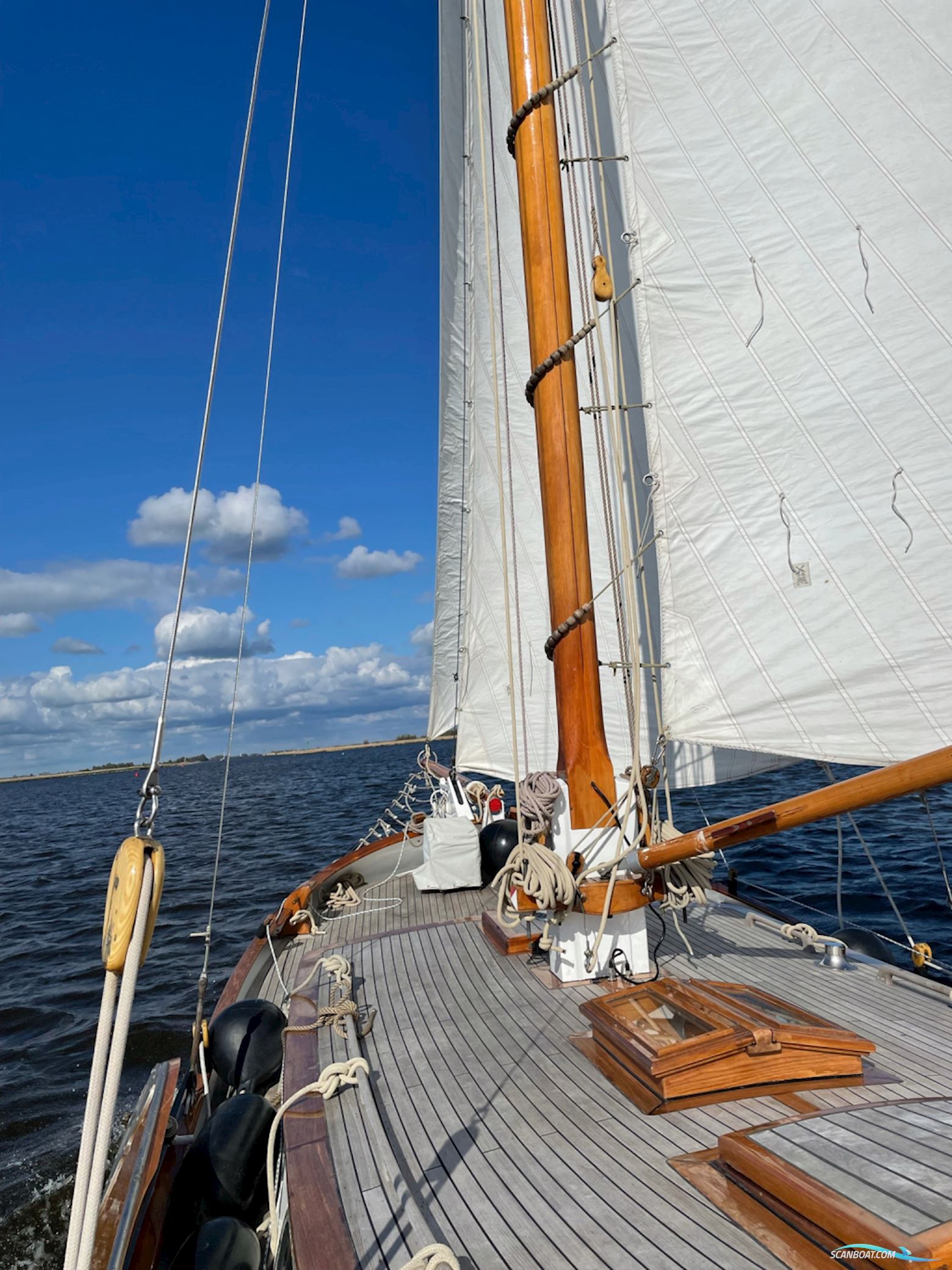 Lemsteraak Blom Roefmodel Anna