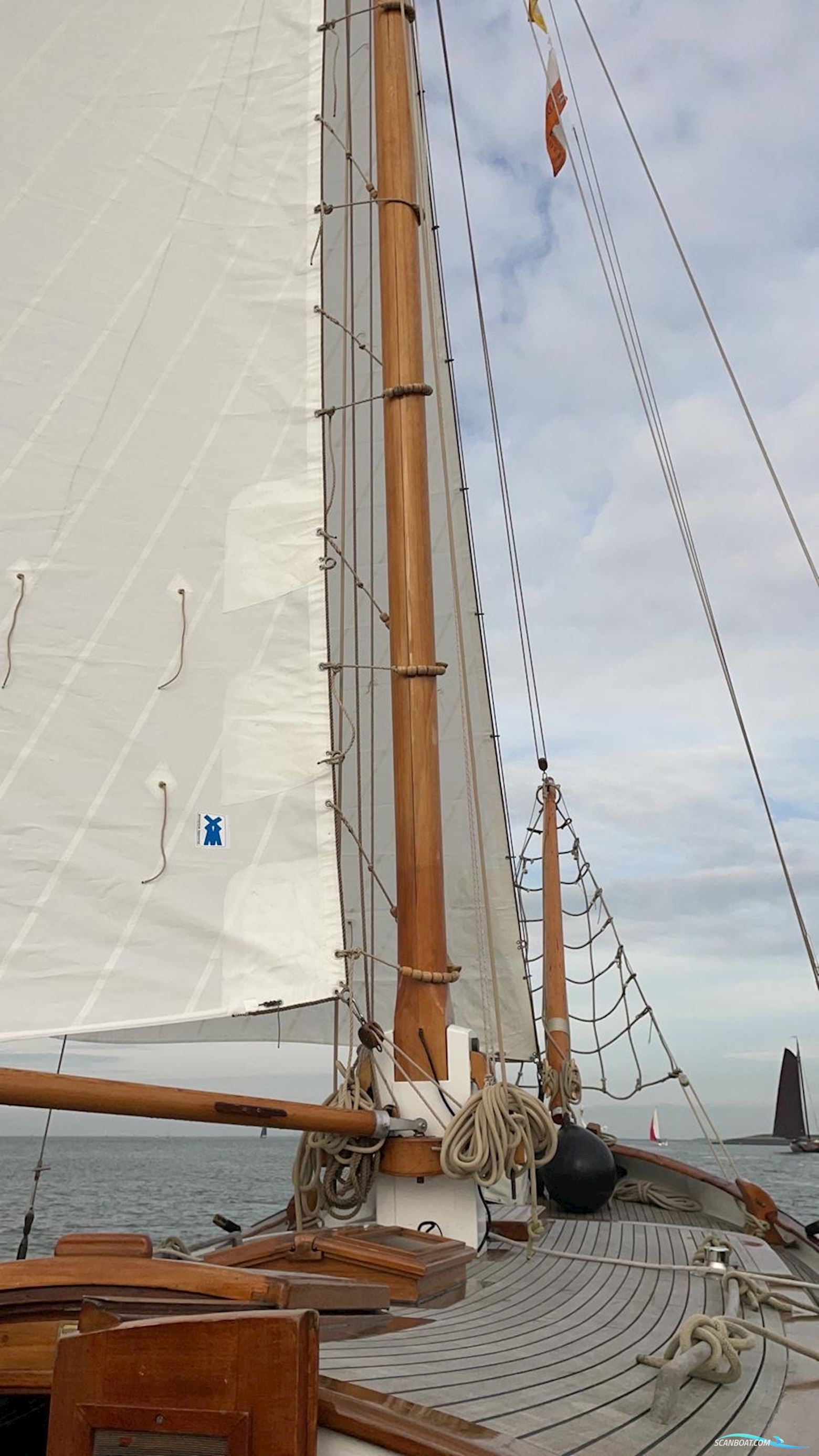 Lemsteraak Blom Roefmodel Anna